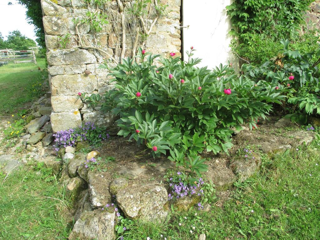 Bed and Breakfast Les Sources Poilley  Екстер'єр фото