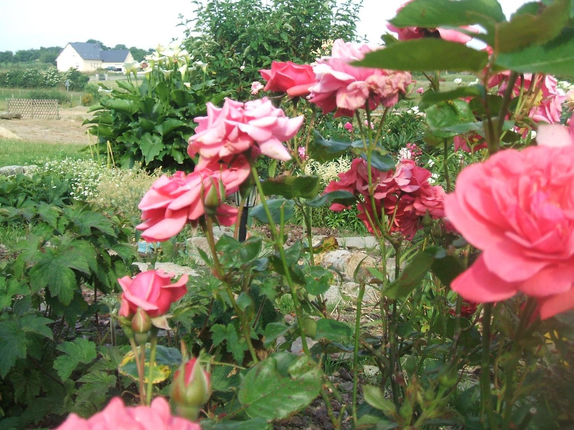 Bed and Breakfast Les Sources Poilley  Екстер'єр фото